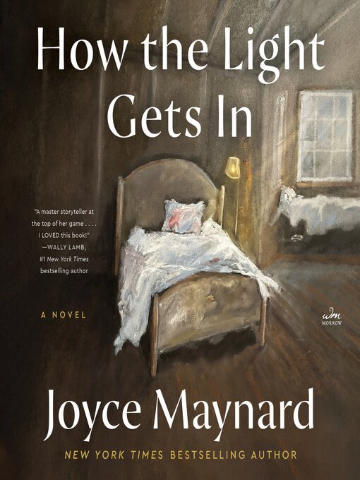 Title details for How the Light Gets In by Joyce Maynard - Wait list